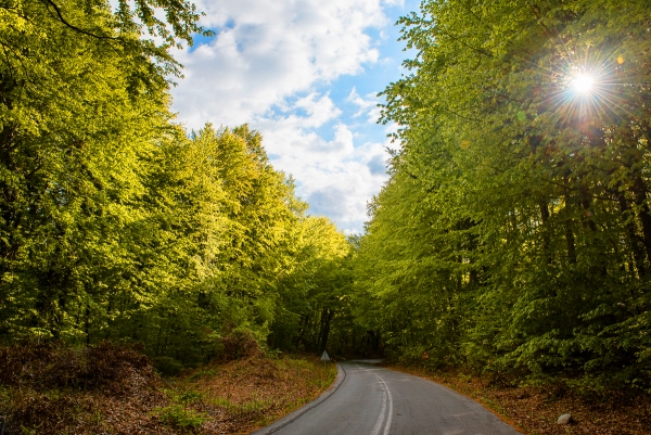 Το νέο επιχειρηματικό modus-operandi: “Επιστροφή στην ανάπτυξη με προστασία του περιβάλλοντος”