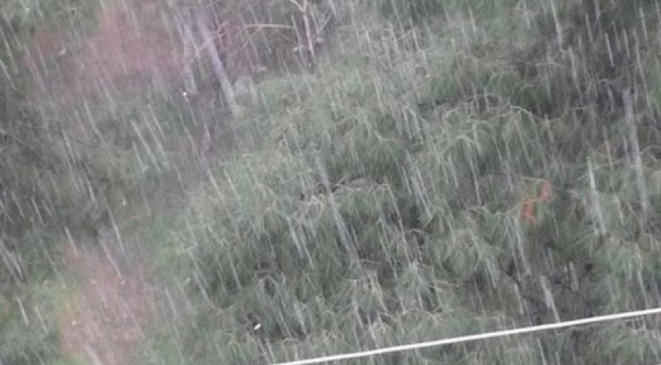 Τρίκαλα: Εκτεταμένες ζημιές σε καλλιέργειες από ισχυρή χαλαζόπτωση σε περιοχές των νομών Τρικάλων και Καρδίτσας