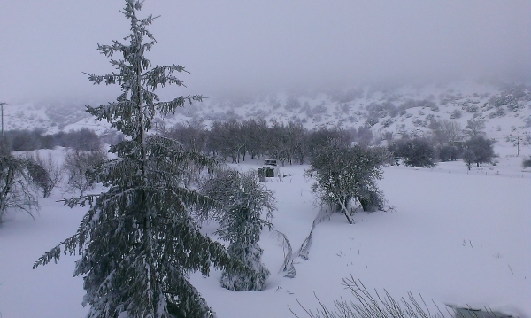 Αλλάζει διαρκώς η εικόνα στο οδικό δίκτυο