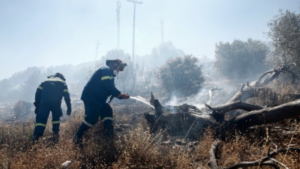 Συνεχίζει να καίει για δεύτερη μέρα η πυρκαγιά σε δασική περιοχή στη Σιθωνία Χαλκιδικής