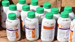 Στη Χαλκιδική η μεγαλύτερη μέχρι σήμερα ποσότητα παράνομων φυτοφαρμάκων