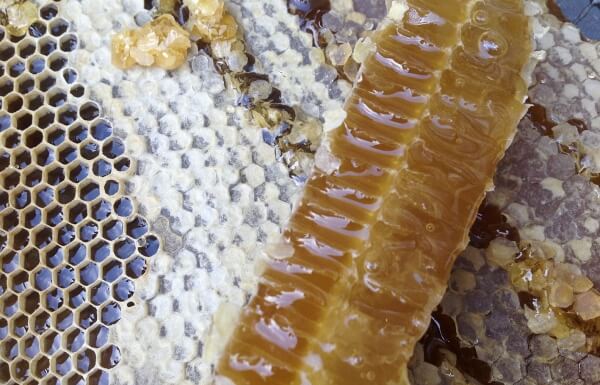 Η Αρναία των βραβείων και των γαστρονομικών διακρίσεων!